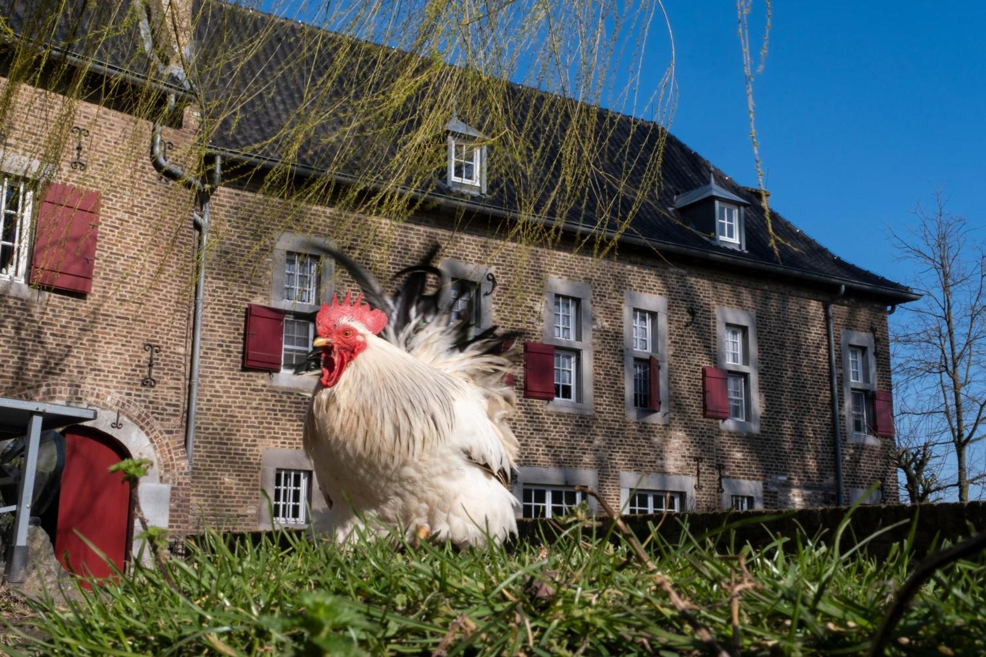 Meschermolen, Overnachten In De Schuur Eijsden Eksteriør bilde