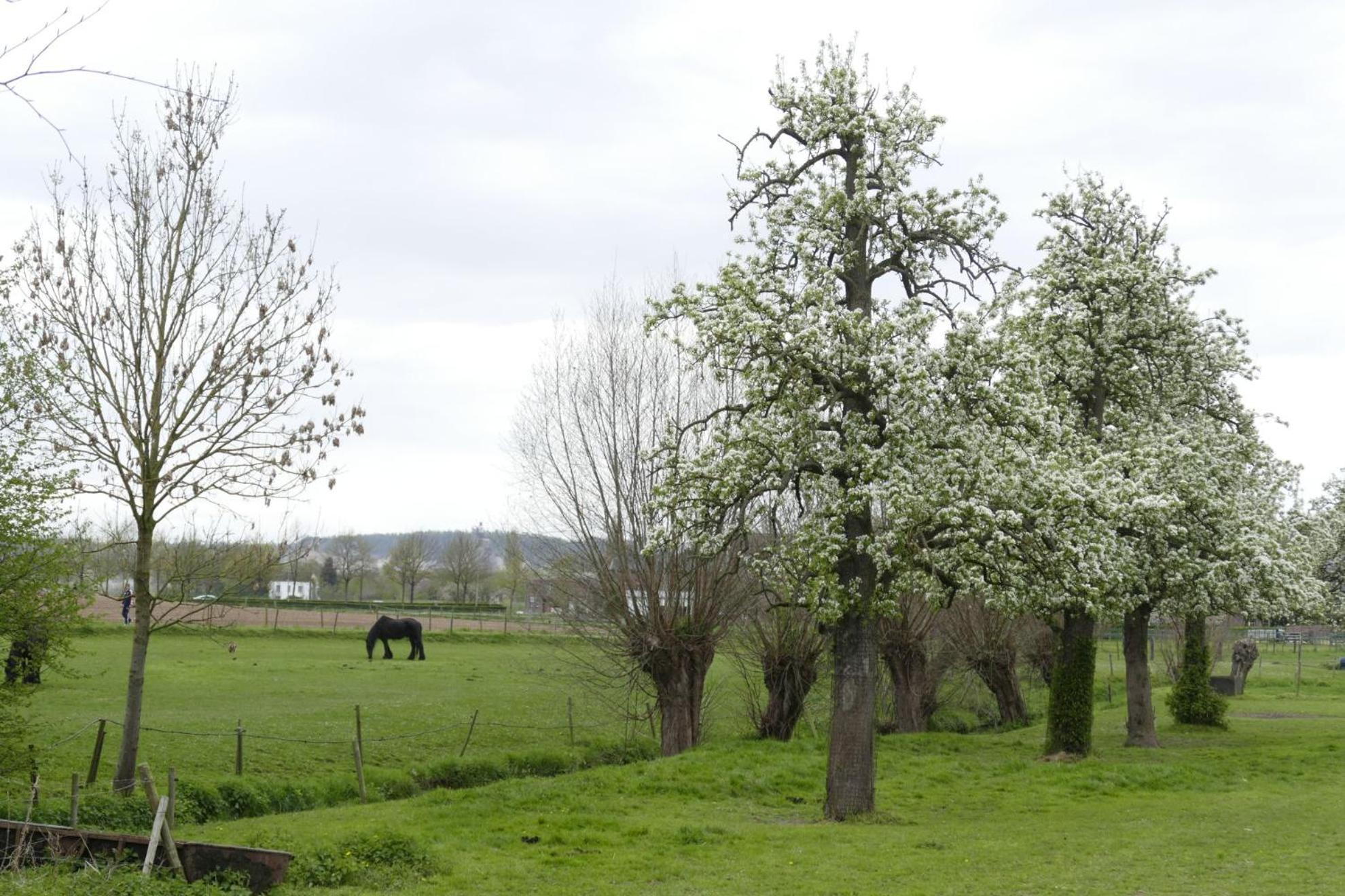 Meschermolen, Overnachten In De Schuur Eijsden Eksteriør bilde